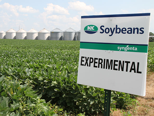 Syngenta says a purchase by ChemChina would offer more choice rather than consolidation in the seed industry. (DTN photo by Pamela Smith)